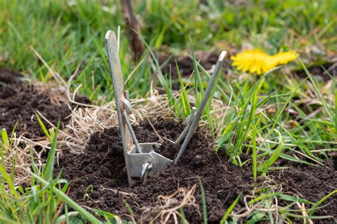 Windrad Gegen Maulwurf Selber Bauen So Wird S Gemacht