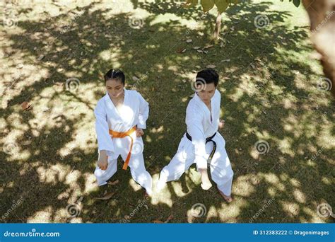 Taekwondo Athletes Practicing Stance Stock Photo - Image of defense ...