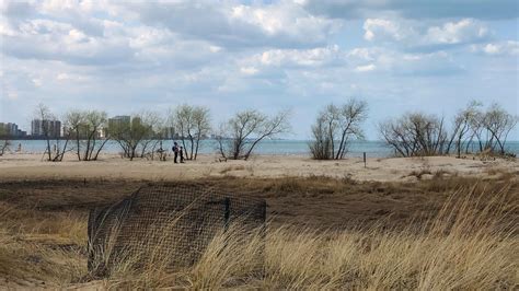 More Room For Plovers As Park District Oks Expansion Of Protected