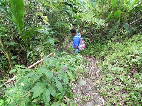 Hike Grenada – Carriacou Hiking Trails