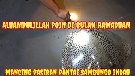 Rejeki Di Bulan Ramadhan Mancing Pasiran Pantai Sambungo Youtube