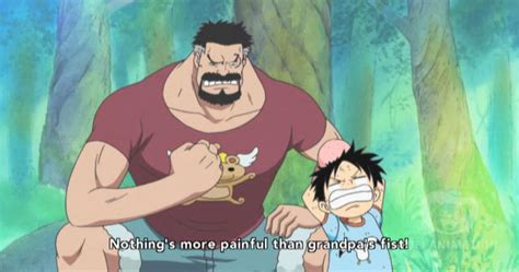 Relationship between Monkey D. Garp and Monkey D. Luffy | ONE PIECE GOLD