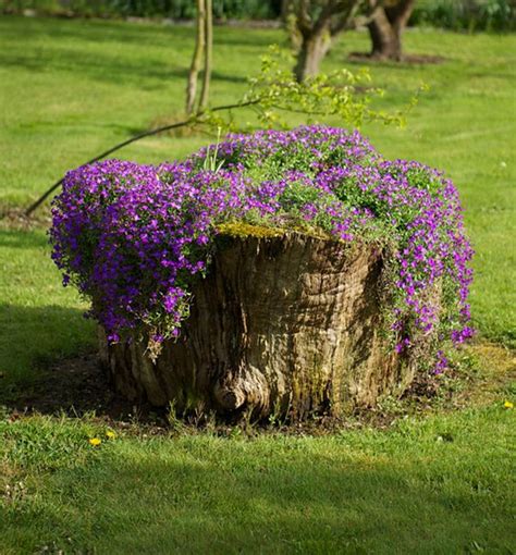 14 Tree Stumps Turned Into Gorgeous Planters Part 1