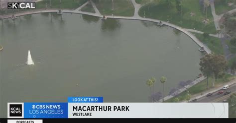 MacArthur Park | Look At This! - CBS Los Angeles