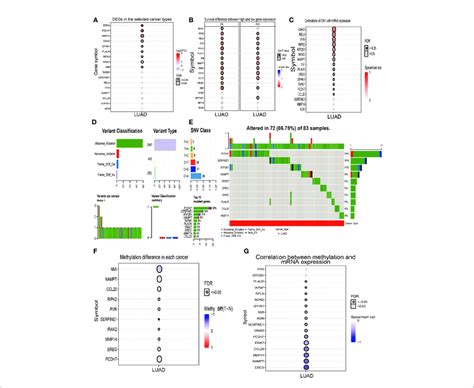 Analysis Of The Expression And Gene Mutation Of IRRGs In LUAD A