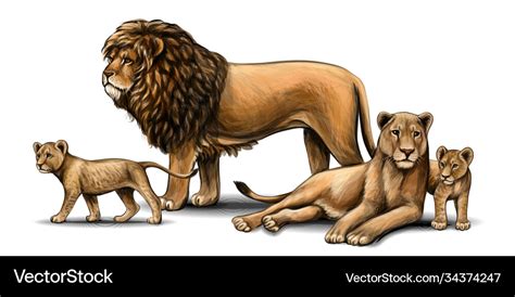 Family lions pride Royalty Free Vector Image - VectorStock