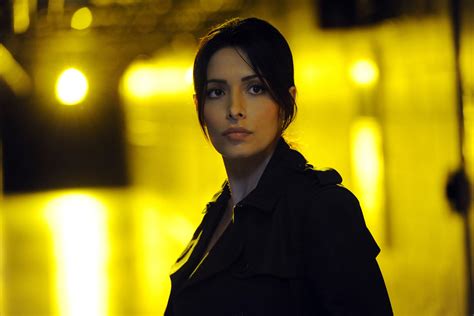 Sarah Shahi Is Returning to Person of Interest - TV Guide