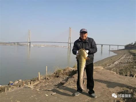 震惊！鄂州江边钓起20余斤“鲶鱼王”，好大一条！ 搜狐大视野 搜狐新闻