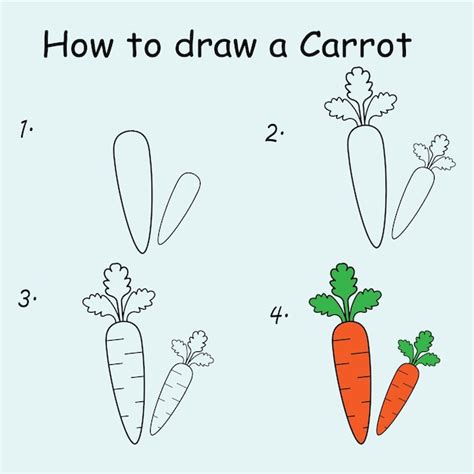 Premium Vector | Step by step to draw a Carrot Drawing tutorial a ...