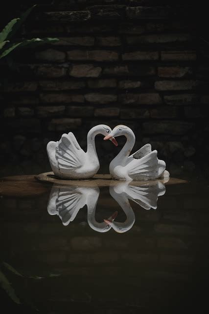 Swans Love Sculpture - Free photo on Pixabay