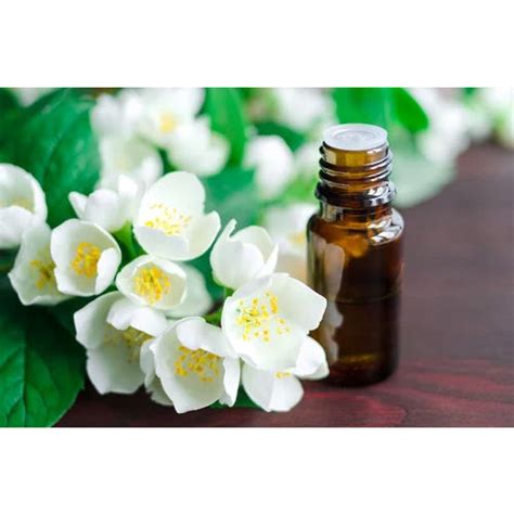 Pure Jasmine Oil Purity High At Best Price In Noida Liable Essential