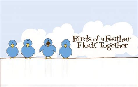 ISI Dublin │ Birds of a Feather Flock Together