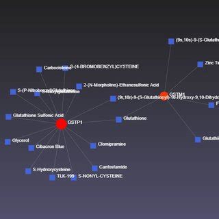 Protein-protein interaction network. | Download Scientific Diagram