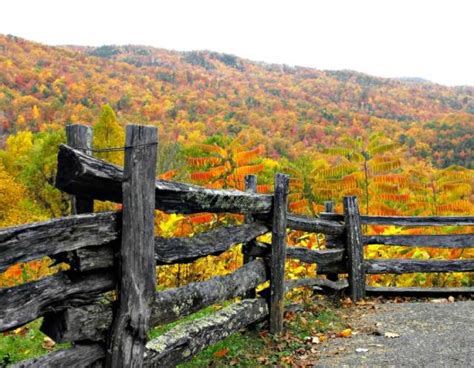 Fall Foliage - Garden Fences and Gates in Autumn