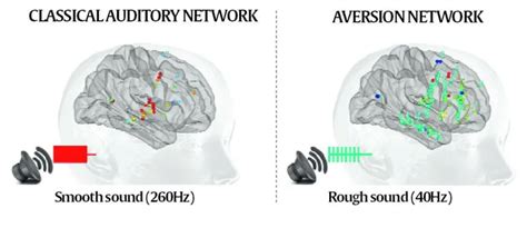 Frequencies At Which Sounds Are Disturbing And How Brain Reacts