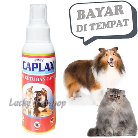 CAPLAK SPREY OBAT PEMBASMI KUTU KUCING CAPLAX ANJING Lazada Indonesia