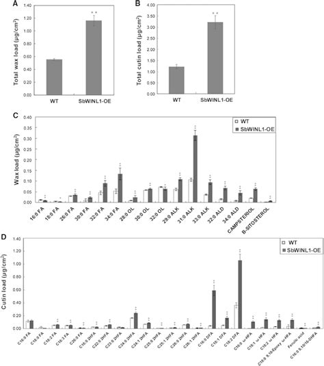 Changes Of Wax And Cutin In WT And SbWINL1 OE Rosette Leaves Rosette