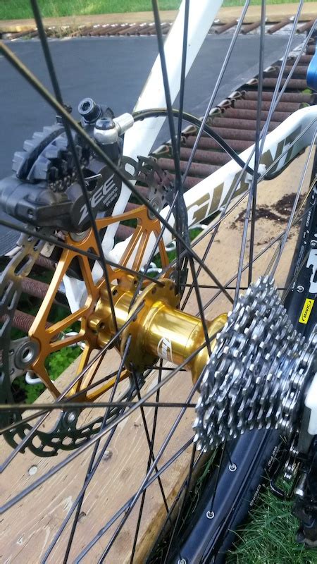 Gold Hope Pro Evo Laced To Mavic Ex For Sale