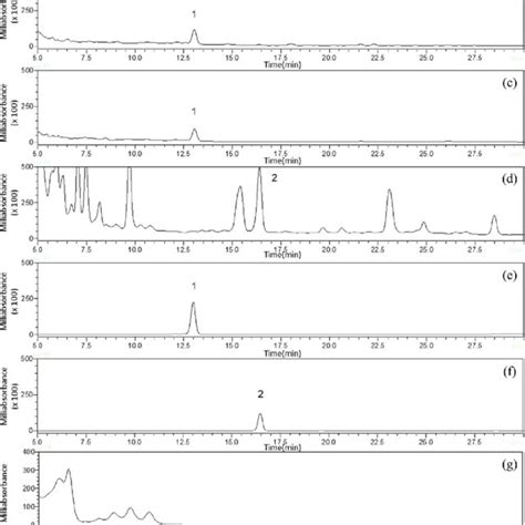 Representative Hplc Chromatograms And Ultraviolet Absorption Spectra Download Scientific