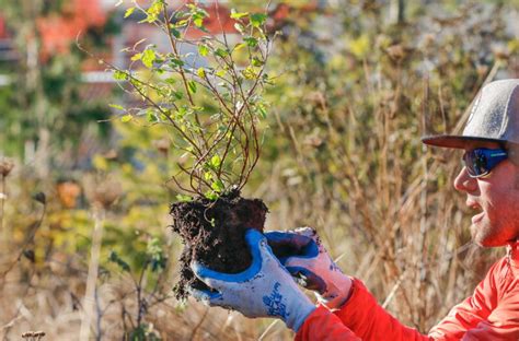 Earth Month: Habitat Restoration at Codiga Park | Experience Tukwila