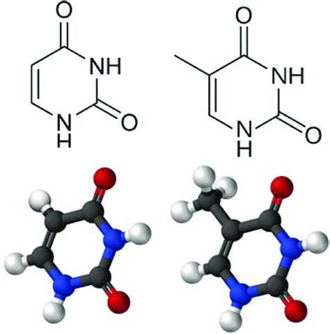 Uracil Definition