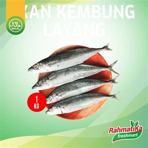 Jual Ikan Kembung Layang Segar 1 Kg Shopee Indonesia