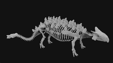 Ankylosaurus skeleton 3D model | CGTrader