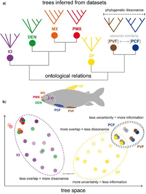 Diagrammatic Representation Of The Relationship Between Ontology