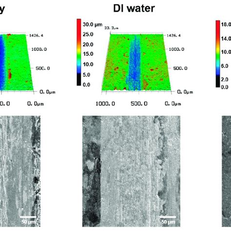 Dlaser Scanning Confocal Microscope And Sem Images Of Wear Tracks With