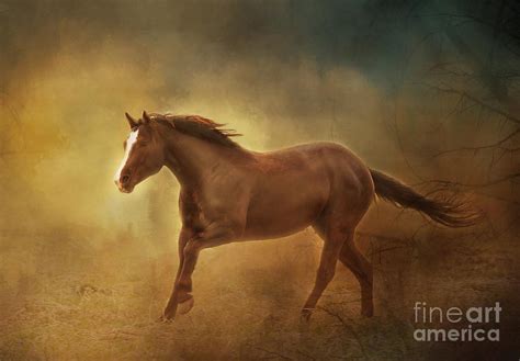 Into The Light Horse Digital Painterly Photograph By Clare Vanderveen