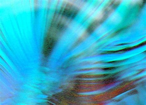 thingsin theory stanford humanities center