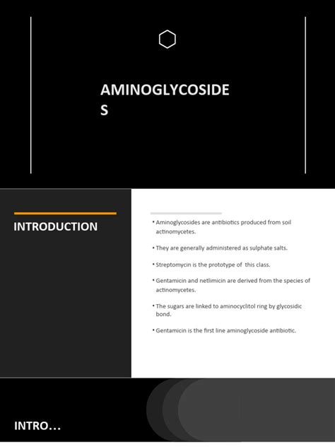 AMINOGLYCOSIDES | PDF | Medicine | Medical Treatments