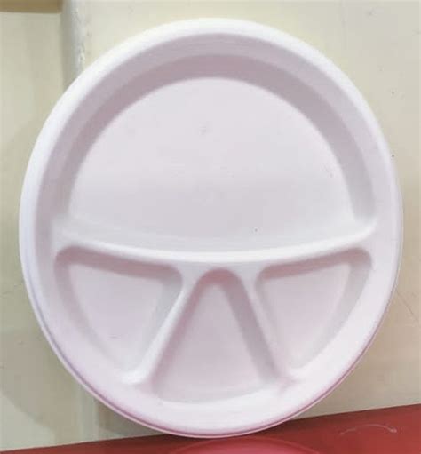 10 Inch Thermocol Plain Round Plate At Rs 7 2 Piece In Pune ID