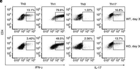 IFN Gamma Antibody 37895 Unconjugated MAB485 Novus Biologicals