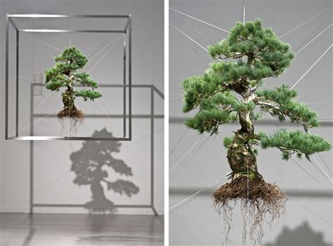 6 Impressive Projects That Turn Botany Into Art