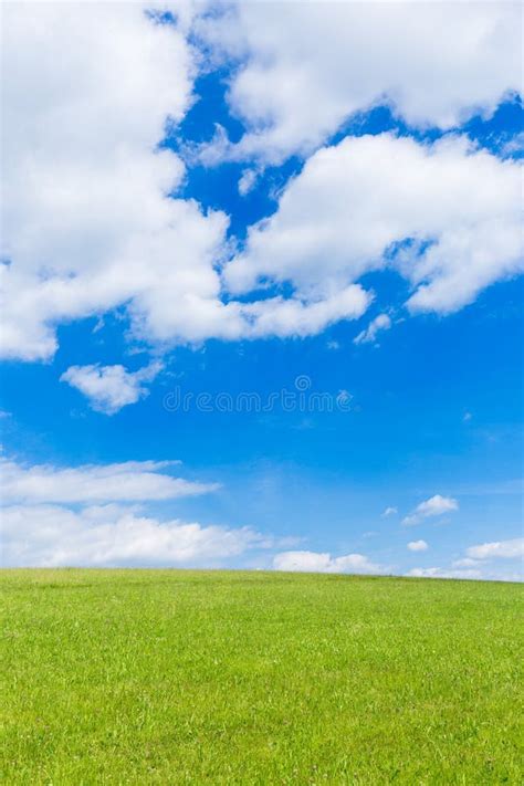 Campo Verde Y Cielo Azul Con Las Nubes Ligeras Foto De Archivo Imagen