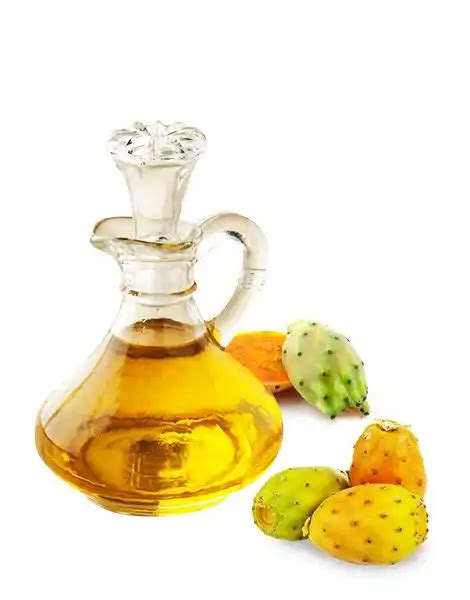 Pure Organic Prickly Pear Seed Oil For Sale At Bulk Quantity High