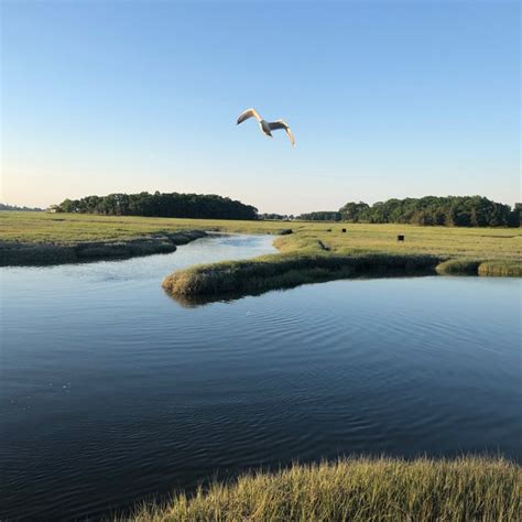 Essex Salt Marsh Travel And Transportation