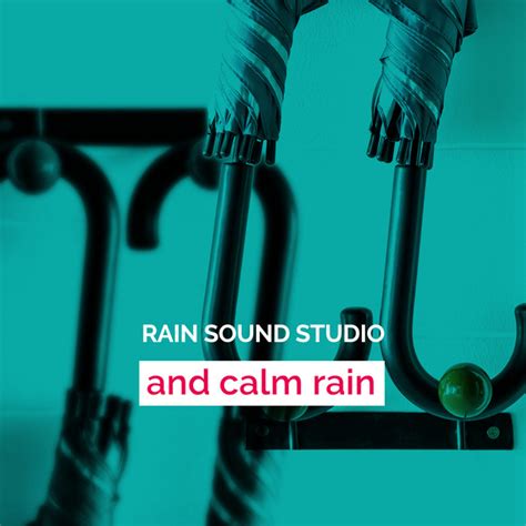 Rain Sound Studio And Calm Rain Album By Rain Sound Studio Spotify