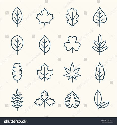 Leaf Line Icons Stock Vector (Royalty Free) 310157171