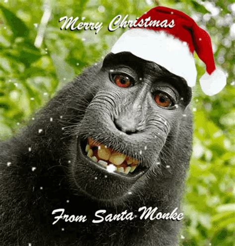 Merry Christmas Funny Smiling Santa Monkey GIFDB