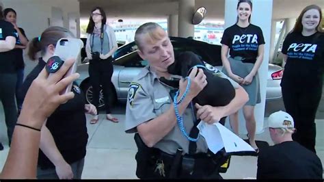 Pets From Hurricane Harvey Arrive In Norfolk Youtube