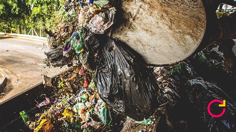 Recicla Sampa Cada Brasileiro Gerou Um Quilo De Lixo Por Dia Em 2022