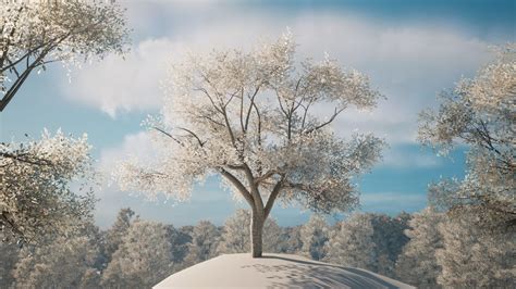 White Tree Snow Wallpapers - 4k, HD White Tree Snow Backgrounds on ...