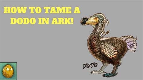 Xbox One How To Tame A Dodo In Ark Survival Evolved Youtube