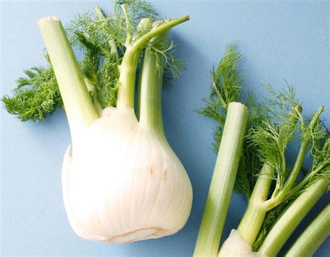 Is Fennel An Aphrodisiac Discover Fennel And Fennel Seed Sex Benefits