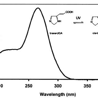 Molecular Structures Of Trans And Cis Urocanic Acid Uca And