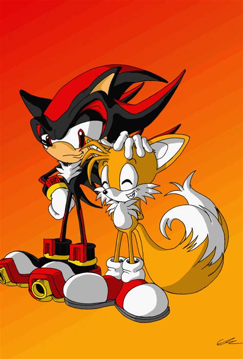 Shadow x Tails: - SONIC COUPLES - Fanpop