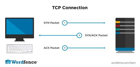 Tcp Esquema Desconexion Hot Sex Picture