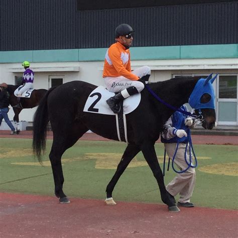 園田競馬場で逢おう 府中白糸台日記